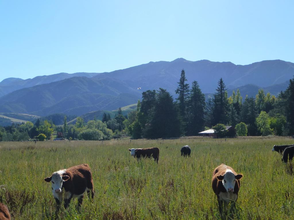 Scenic Views Motel 4*